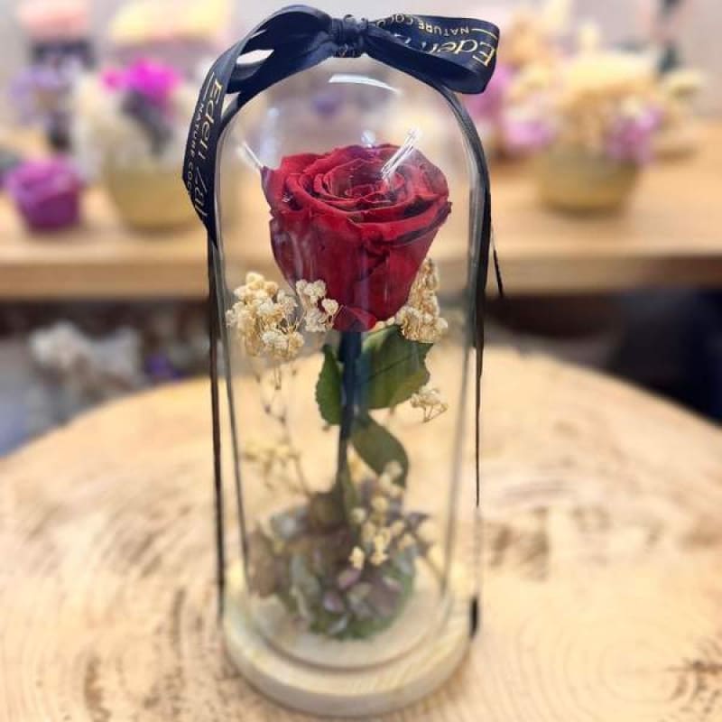 Cloche Eternal Red